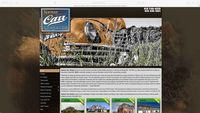 Nathan Carr Realty
