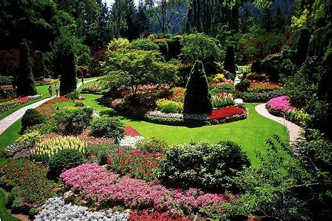 Landscaping Design Tips