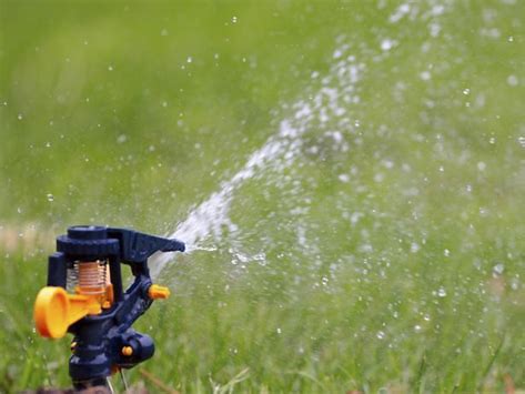 Watering Your Lawn The Right Way