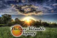 Wallace Valuable Property